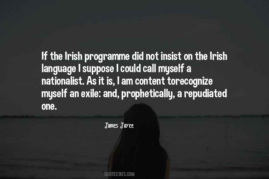 Irish Politics Quotes #391008