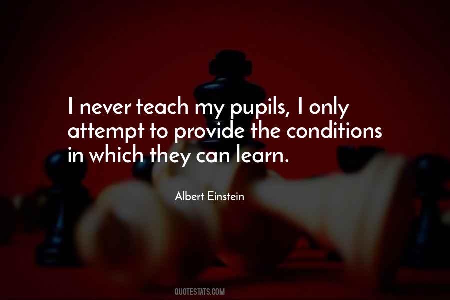 Quotes About Teaching Pupils #587152