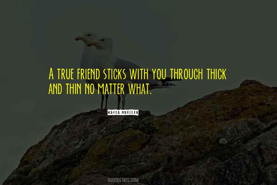 Quotes About Through Thick And Thin #991068