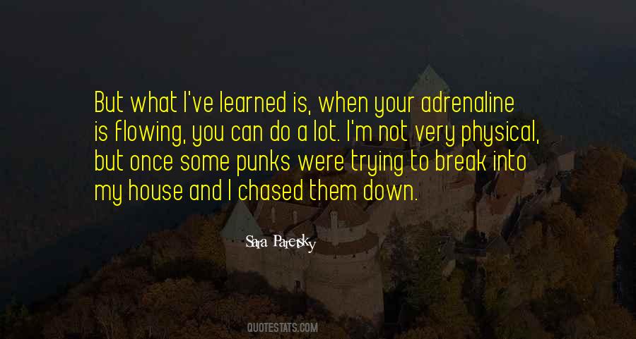 Quotes About Punks #1057529