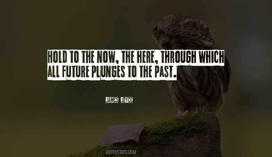 Villegas Quotes #31265