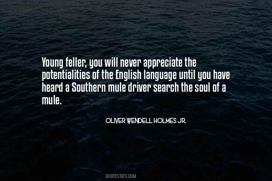 Language Of Soul Quotes #671307