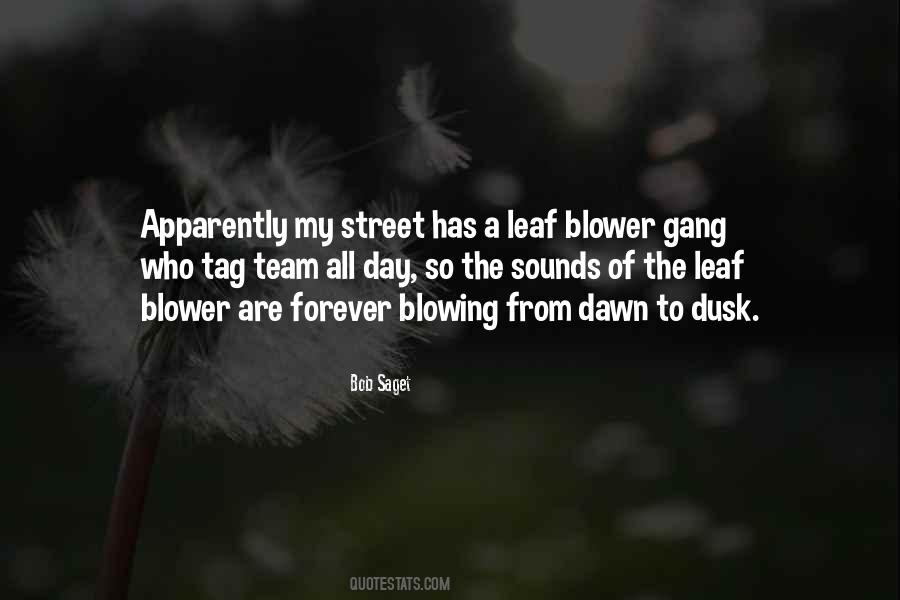 Dawn To Dusk Quotes #1307465