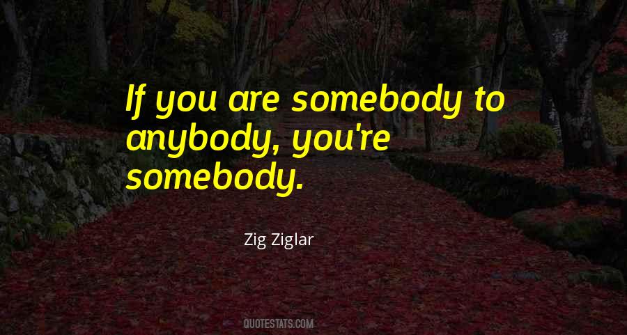 You Are Somebody Quotes #1335716