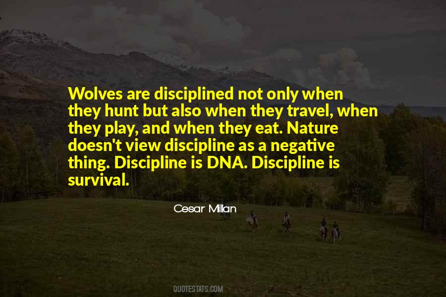 Travel And Eat Quotes #1448413