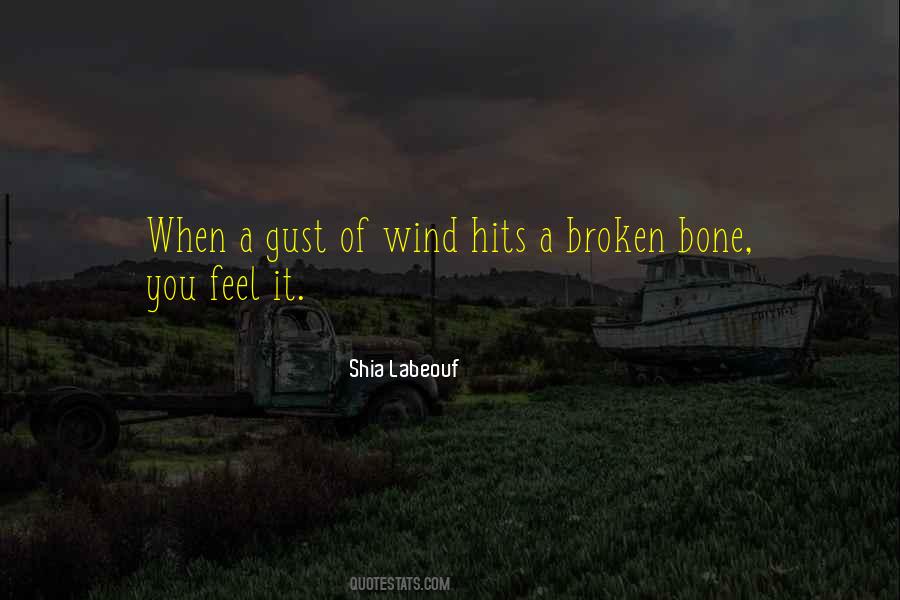 Quotes About Gust Of Wind #339719