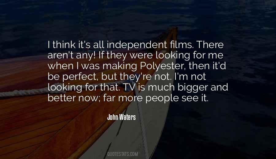 Looking At The Bigger Quotes #1347138