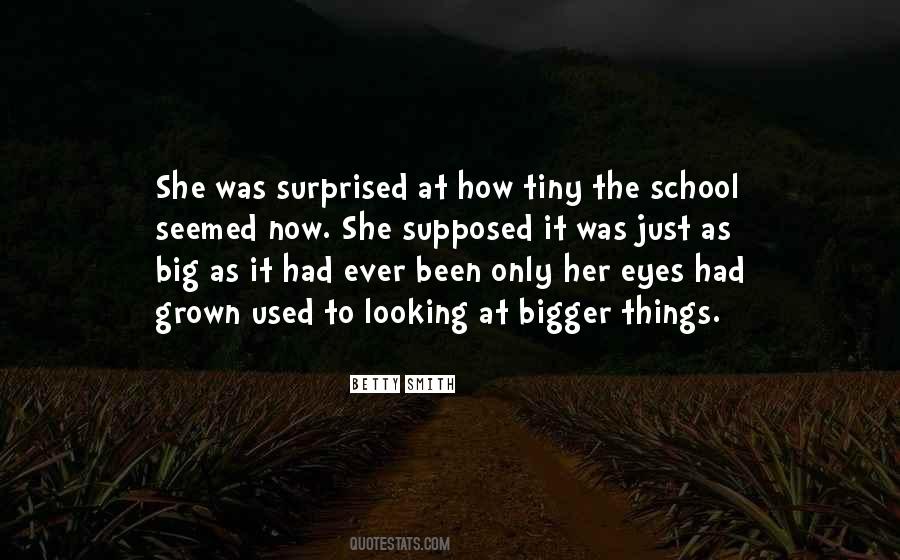 Looking At The Bigger Quotes #1740564