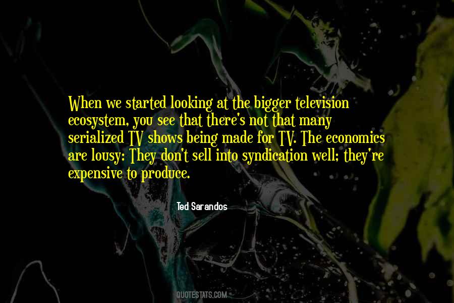 Looking At The Bigger Quotes #336029