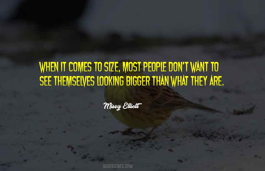 Looking At The Bigger Quotes #441495