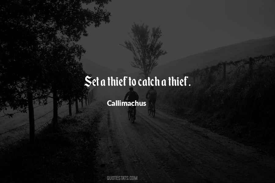 Quotes About A Thief #1118515