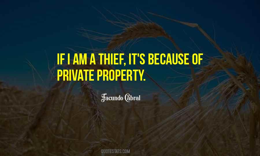 Quotes About A Thief #1286182