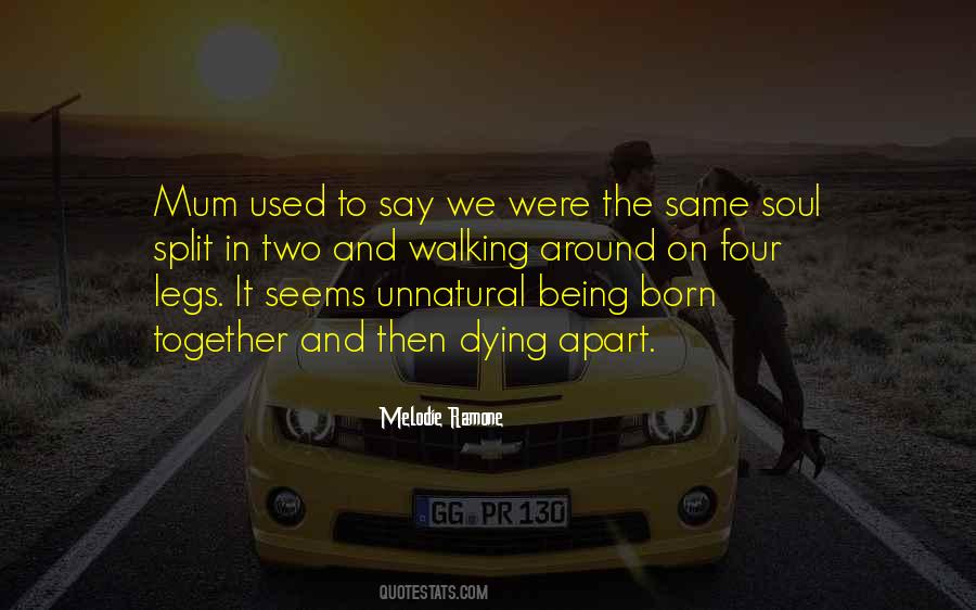 Quotes About Two Brothers #520029