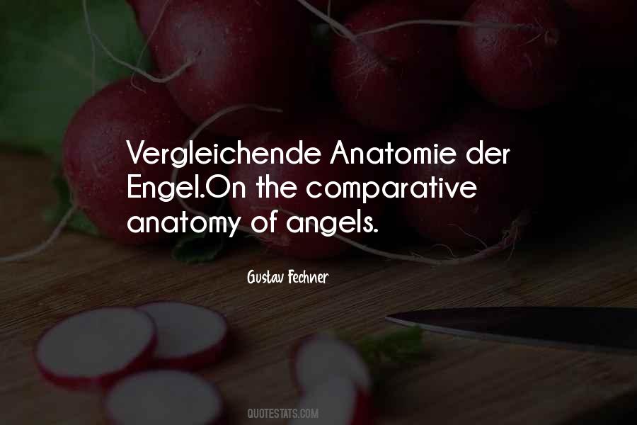 Vergleichende Anatomie Quotes #1840557