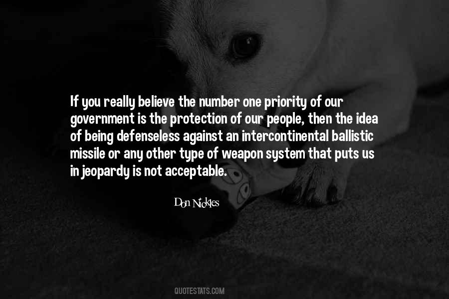 Quotes About Government Protection #1115975