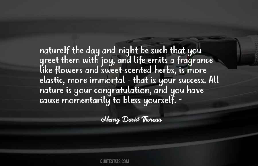 Quotes About The Night Life #89584