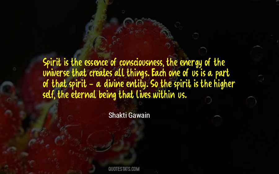 Consciousness The Quotes #903853