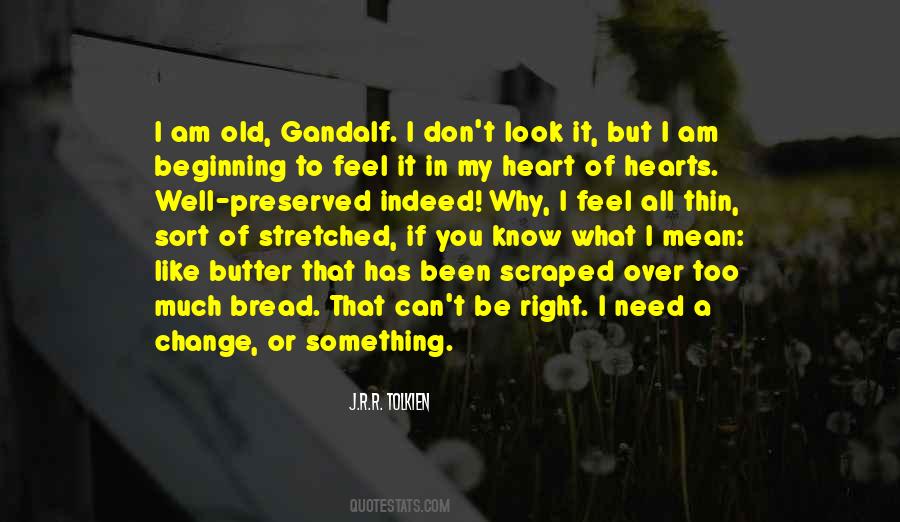 The Fellowship Of Th Ring Quotes #351337