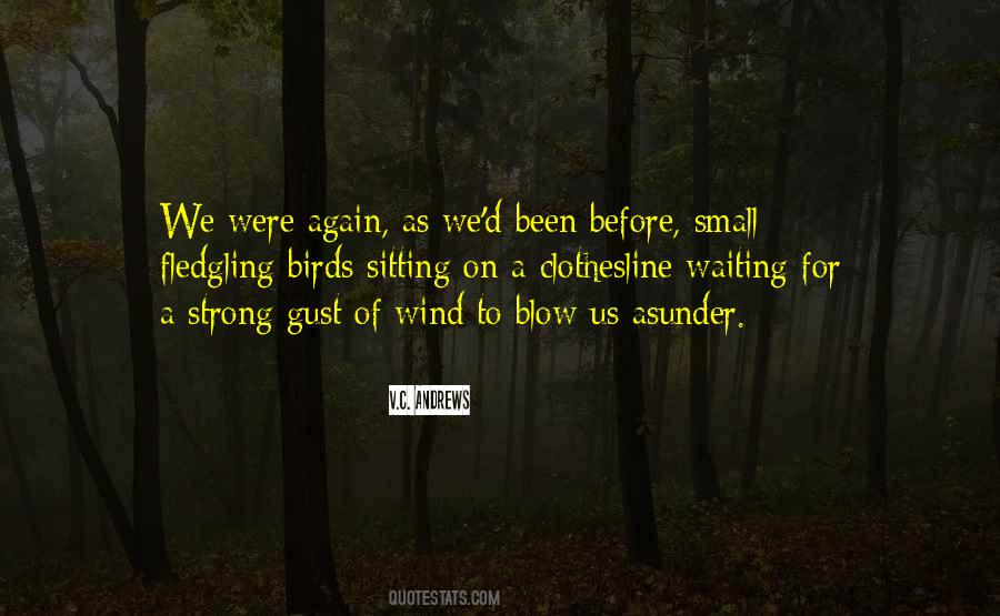 Quotes About Small But Strong #143318