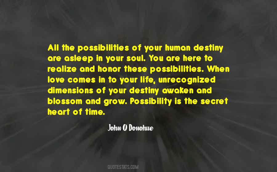 Quotes About Possibility Of Love #967839