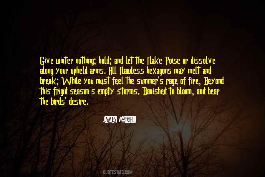 Quotes About Summer And Winter #317350