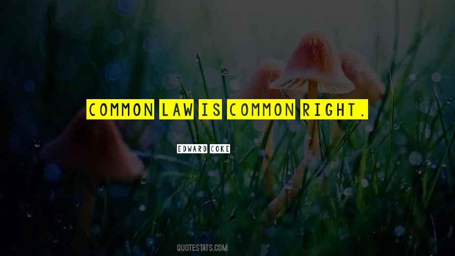 Quotes About Common Law #1484442