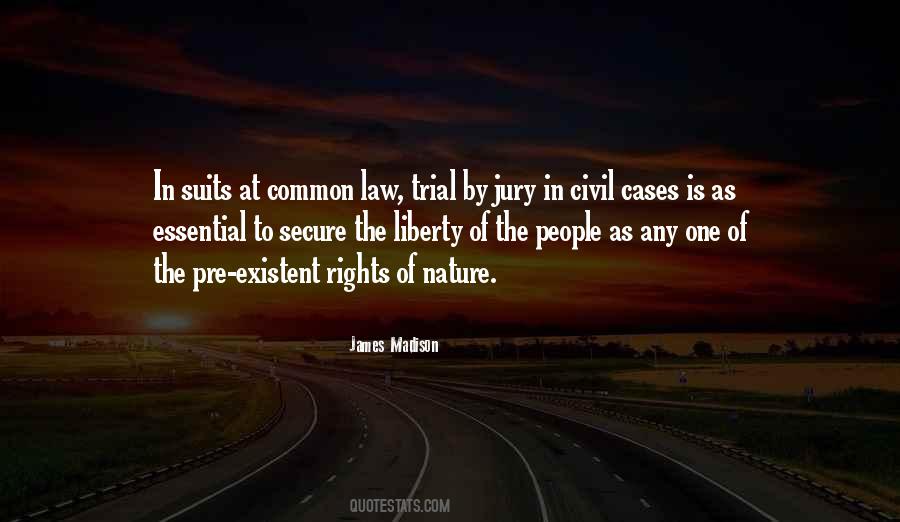 Quotes About Common Law #548451