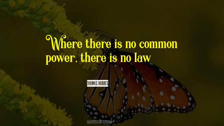 Quotes About Common Law #747032