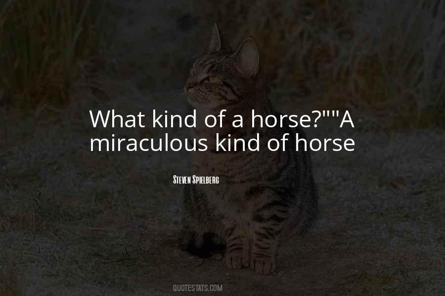 Quotes About War Horses #850815