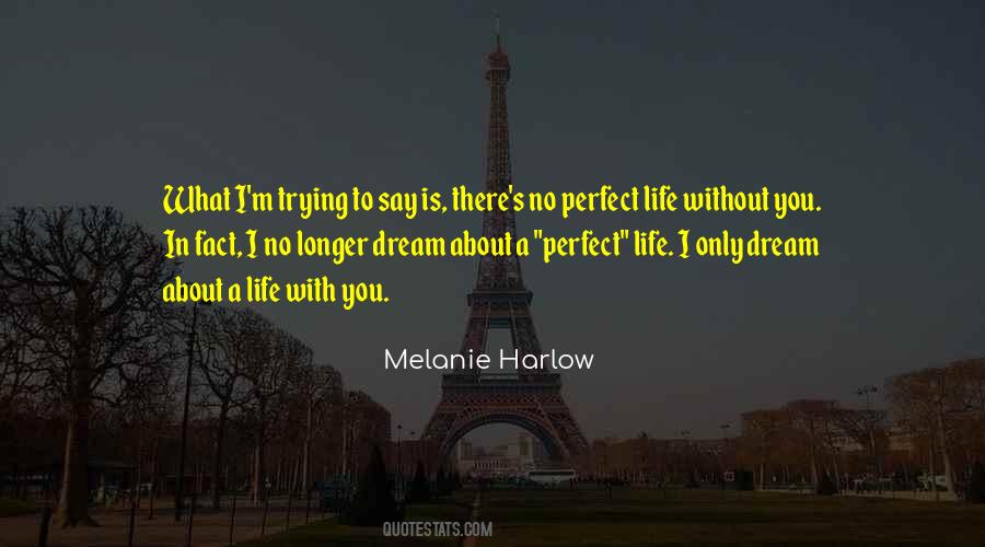 Quotes About Perfect Life #927723