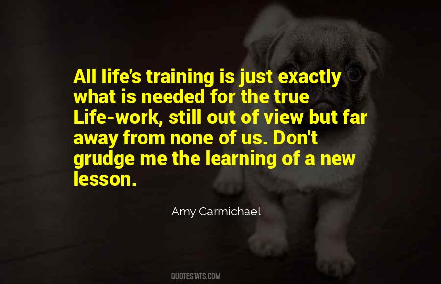 Quotes About Learning My Lesson #560776