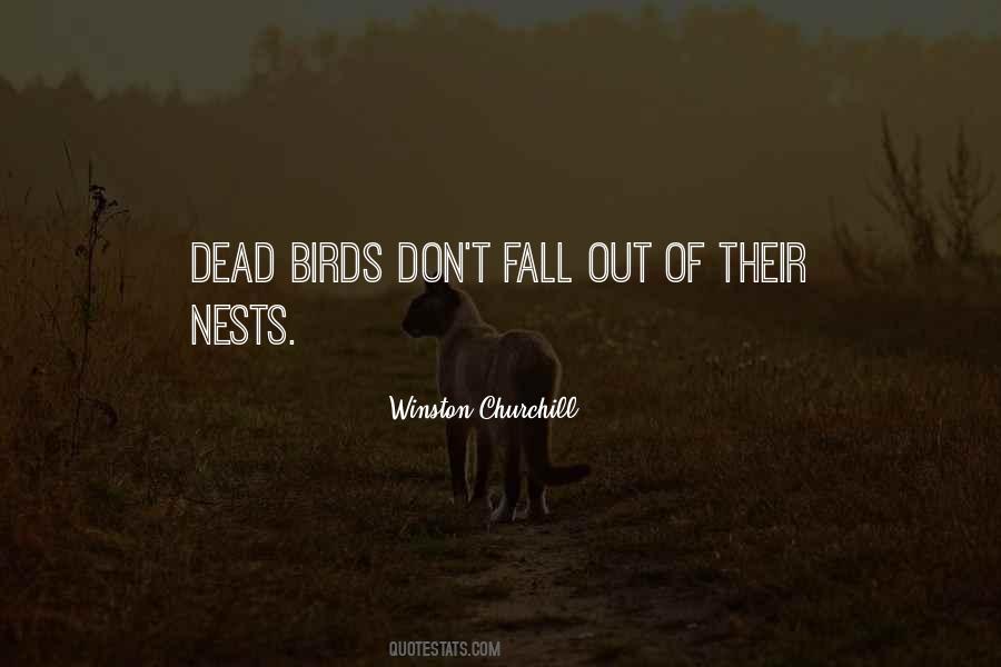 Quotes About Nests #372868