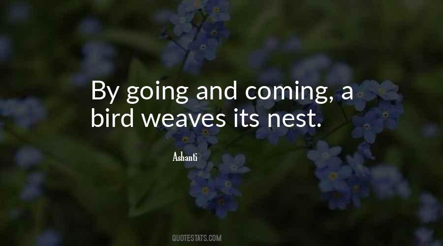 Quotes About Nests #763686