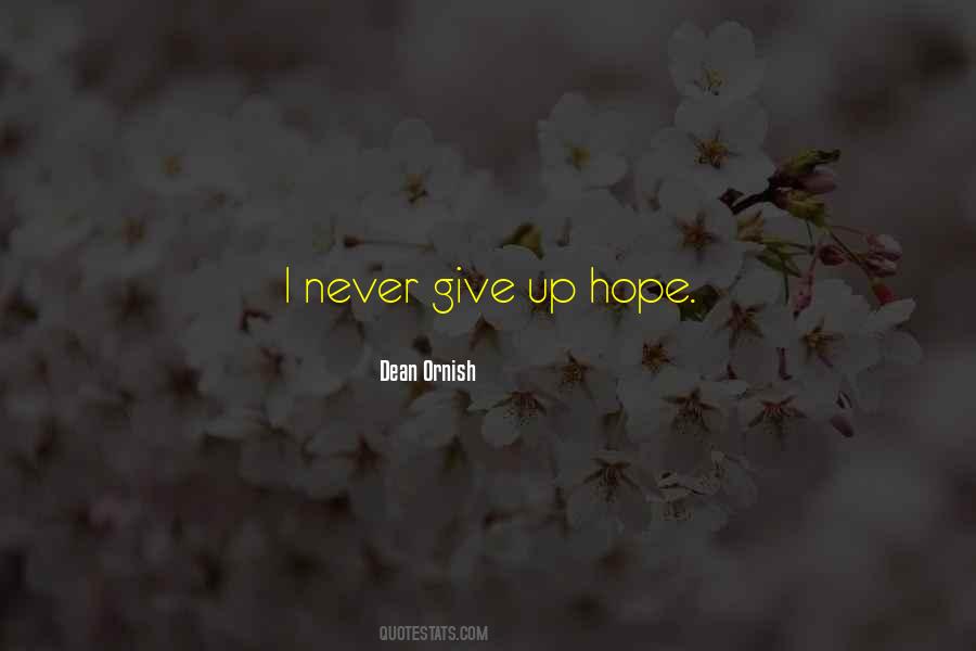 Quotes About Never Give Up #49702