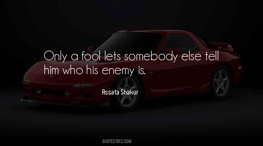 Quotes About A Fool #1708482