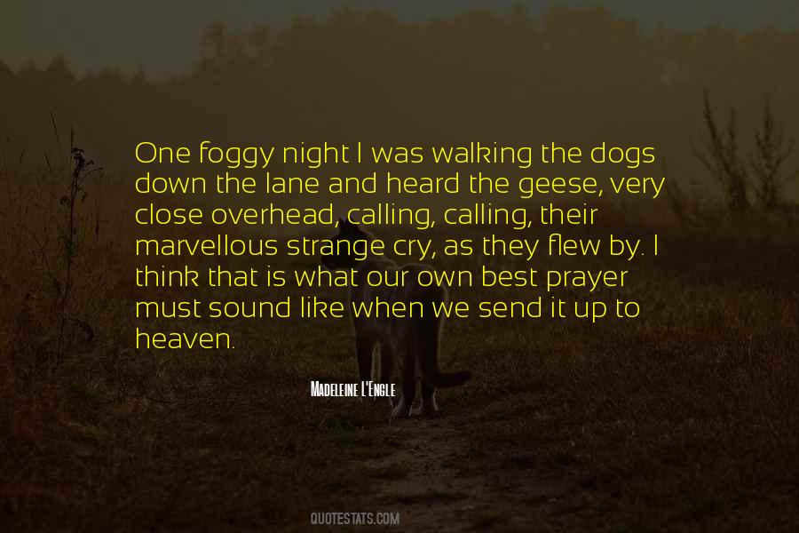 Madeleine L Engle Quotes #229514