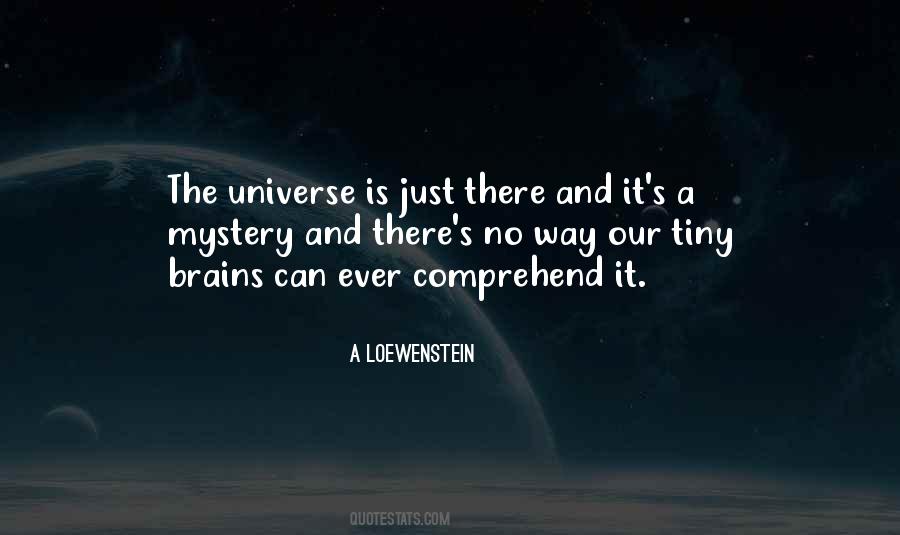 Universe Is Quotes #1234475