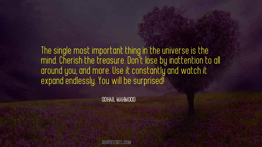 Universe Is Quotes #1876940