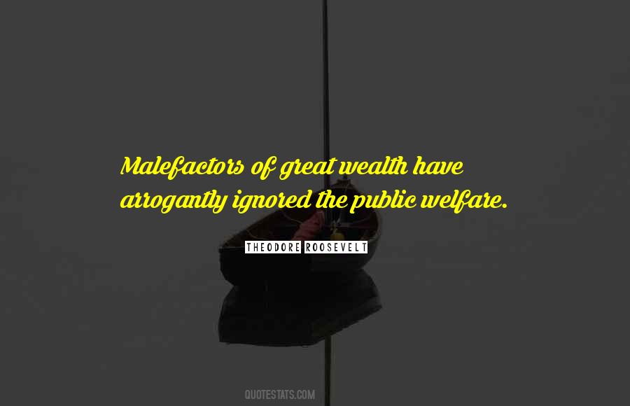 Public Welfare Quotes #244150