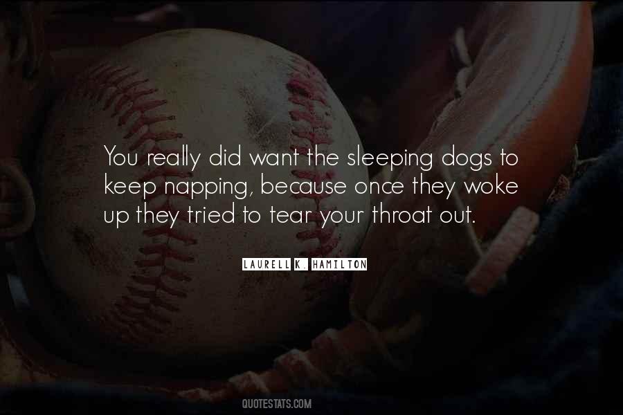 Quotes About Sleeping Dogs #283104