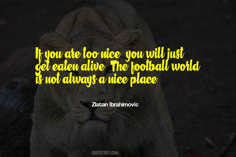 Quotes About A Nice Place #1674990
