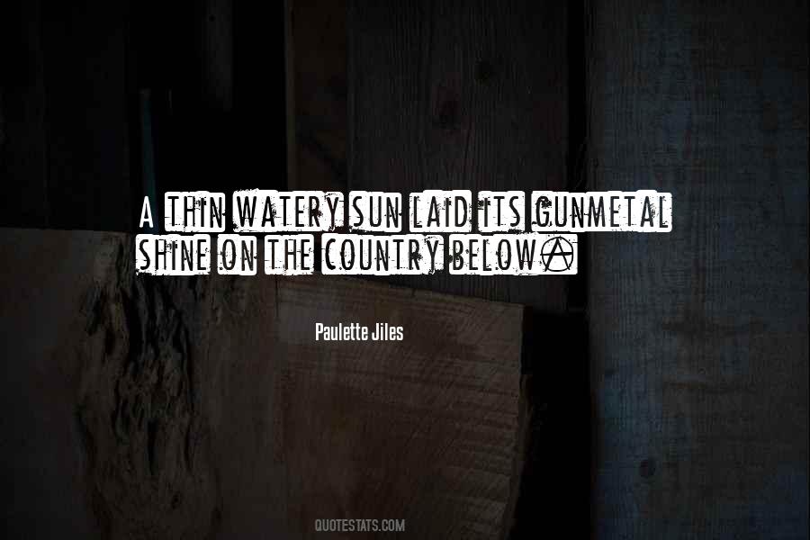 Sun Country Quotes #974665