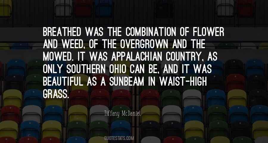 Southern Country Quotes #727532