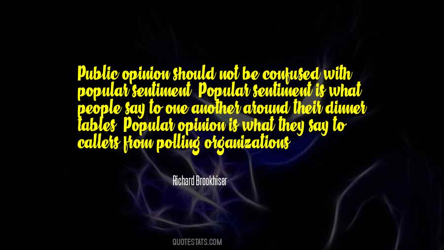 Quotes About Public Opinion #1025363