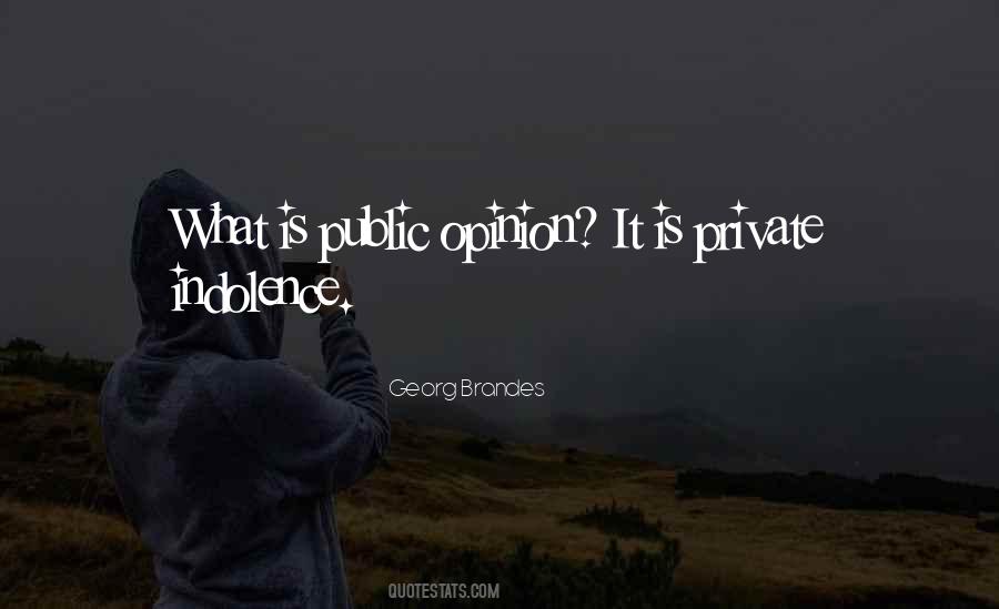 Quotes About Public Opinion #1138754