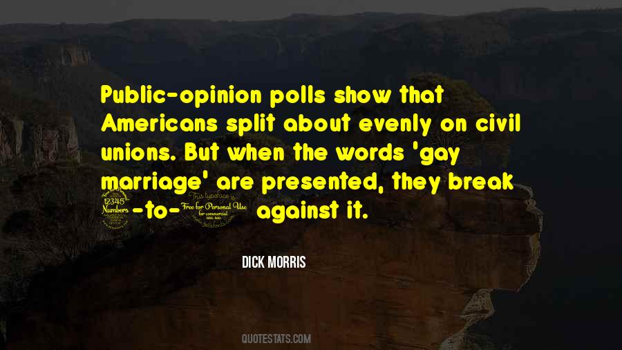 Quotes About Public Opinion #1203995