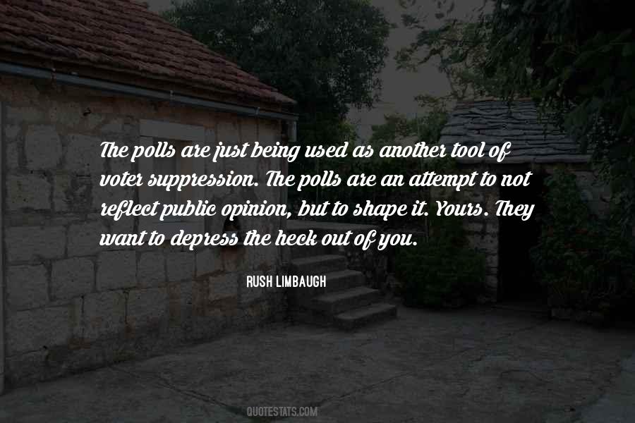 Quotes About Public Opinion #963408