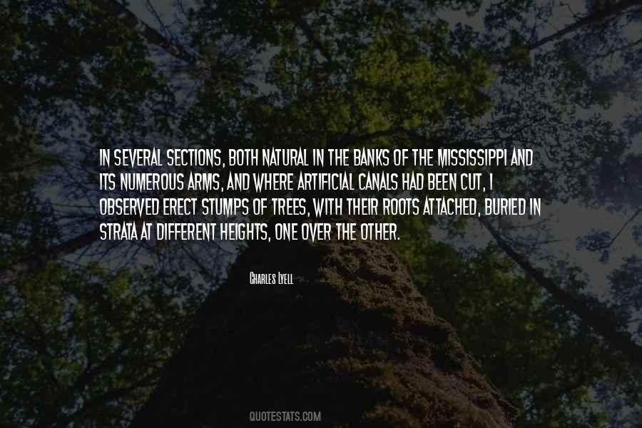 Quotes About Roots Of Trees #1077246