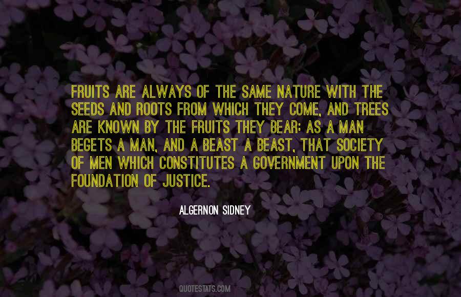 Quotes About Roots Of Trees #1591881