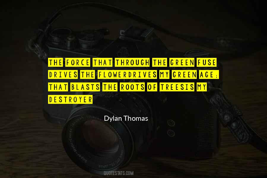 Quotes About Roots Of Trees #78951